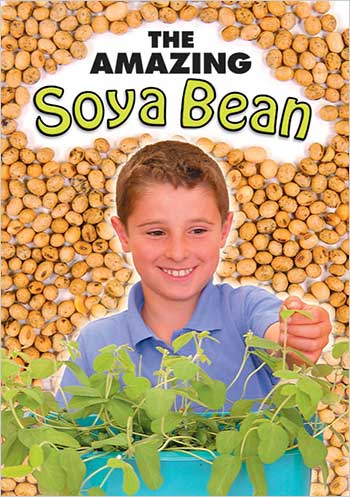 The Amazing Soya Bean