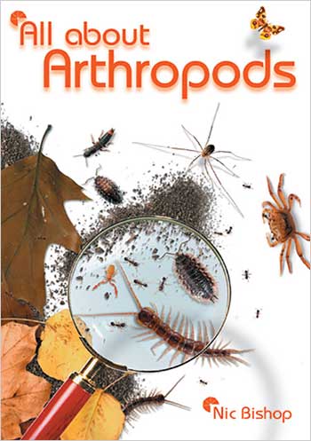All about Arthropods>