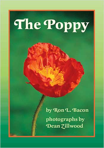 The Poppy