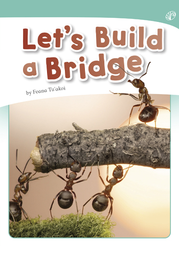Let’s Build a Bridge>