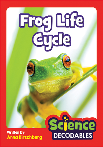 Frog Life Cycle>